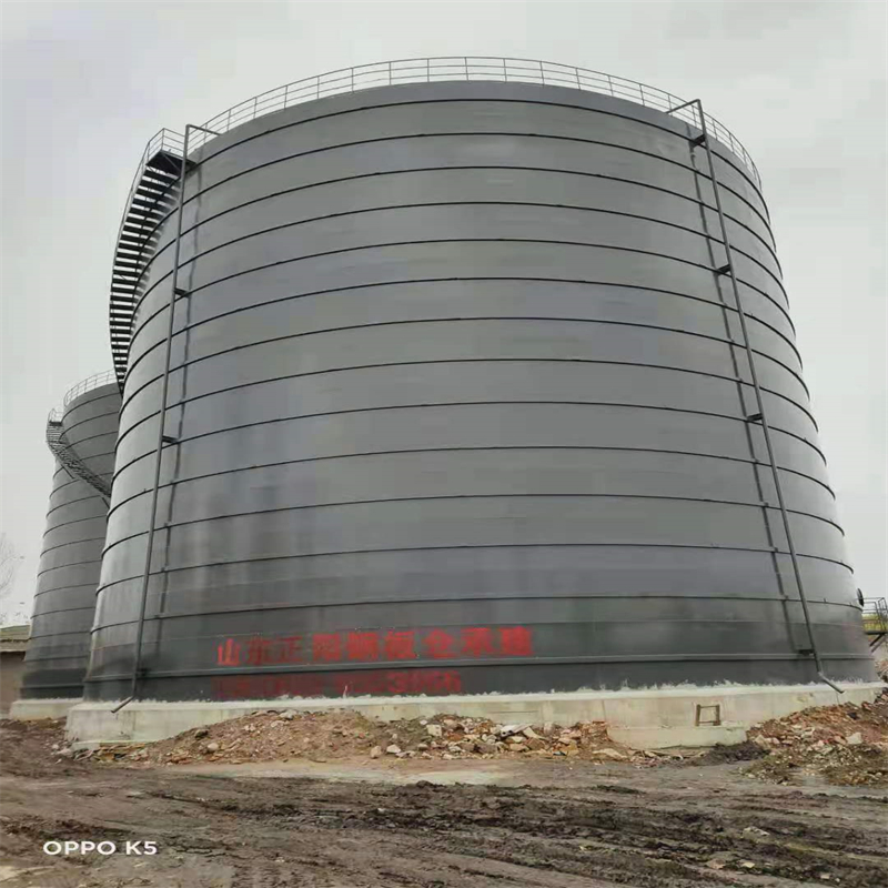 康乐3万吨大型钢板库