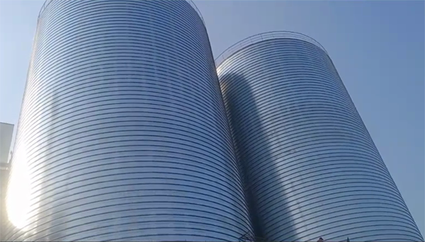 康乐2座混凝土高架卷板仓